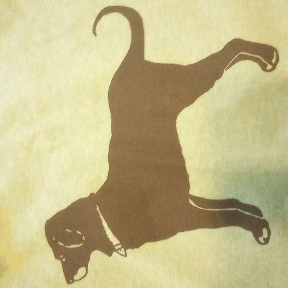 NWT!  The Black Dog Green Long Sleeve Tee L - Picture 5 of 5
